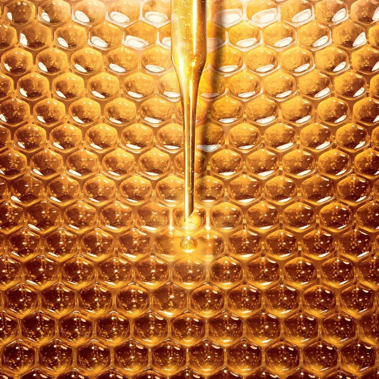Abeille Royale Programme Anti-Âge Crème de Jour