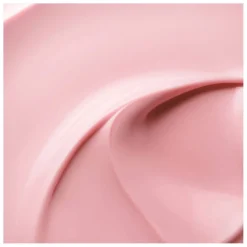 Absolue Crème Riche -Cream Rich Your