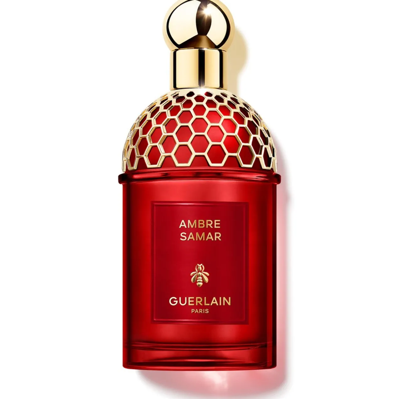 Absolus Allegoria Cuir Intense Eau de Parfum