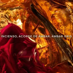 Absolus Allegoria Cuir Intense Eau de Parfum