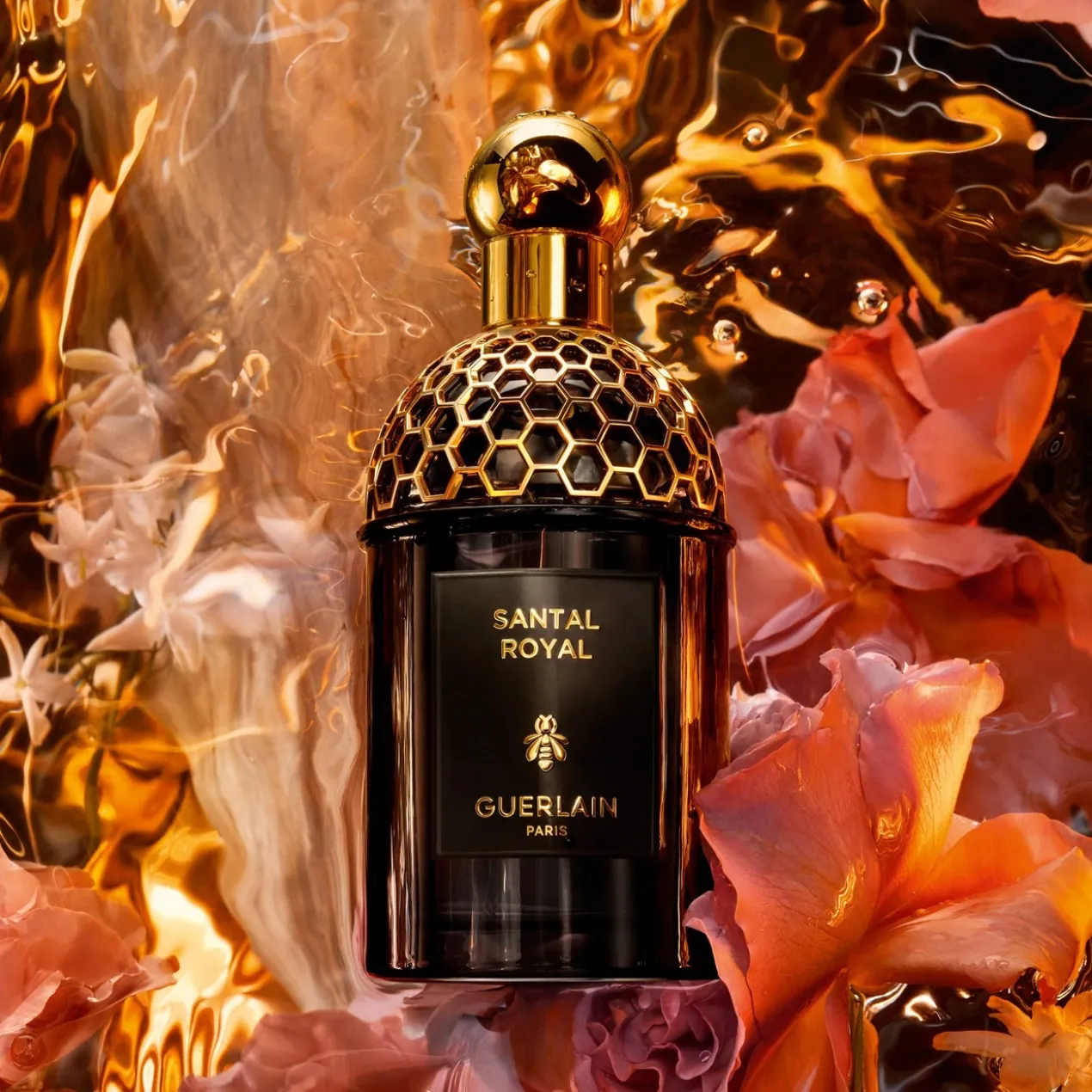 Absolus Allegoria Santal Royal Eau de Parfum