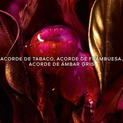 Absolus Allegoria Tabac Sahara Eau de Parfum