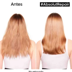 Absolut Repair Huile 10 en 1