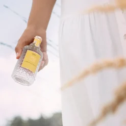 Acqua Colonia Citron & Gingembre
