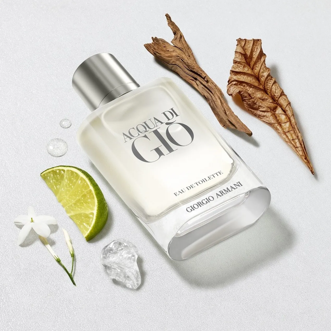 Acqua Di Giò Eau de Toilette Estuche Parfum Homme