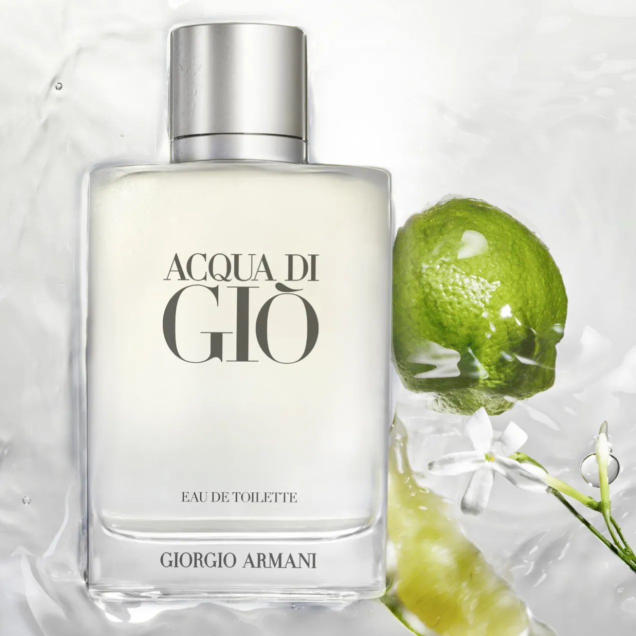 Acqua Di Giò Eau de Toilette Estuche Parfum Homme