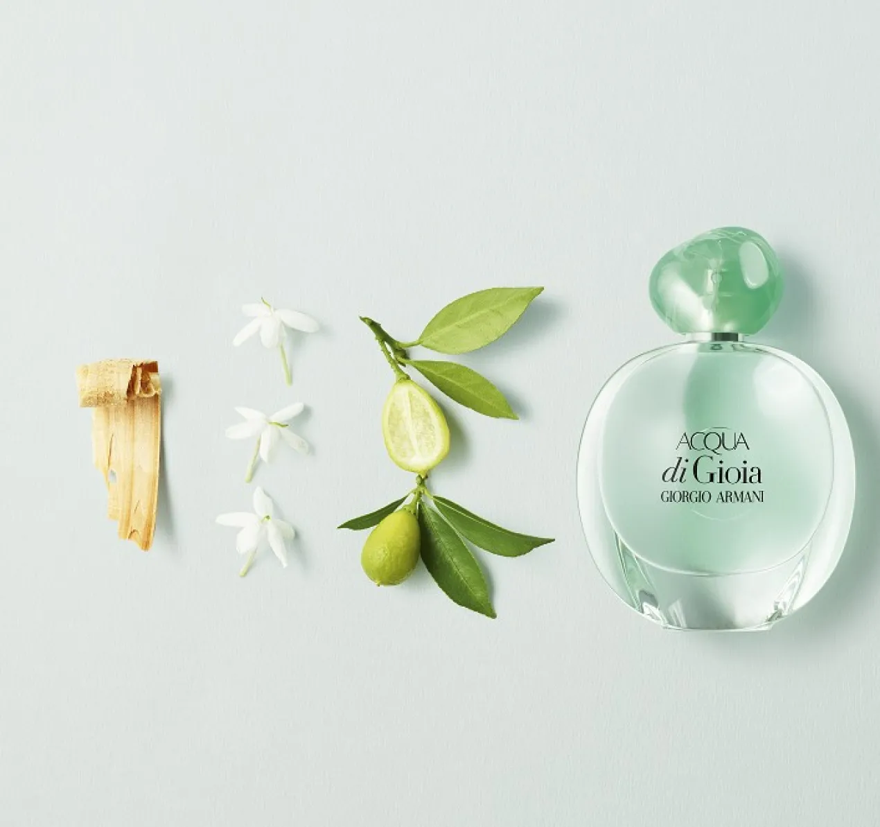 Acqua Di Gioia Eau de Parfum pour femme