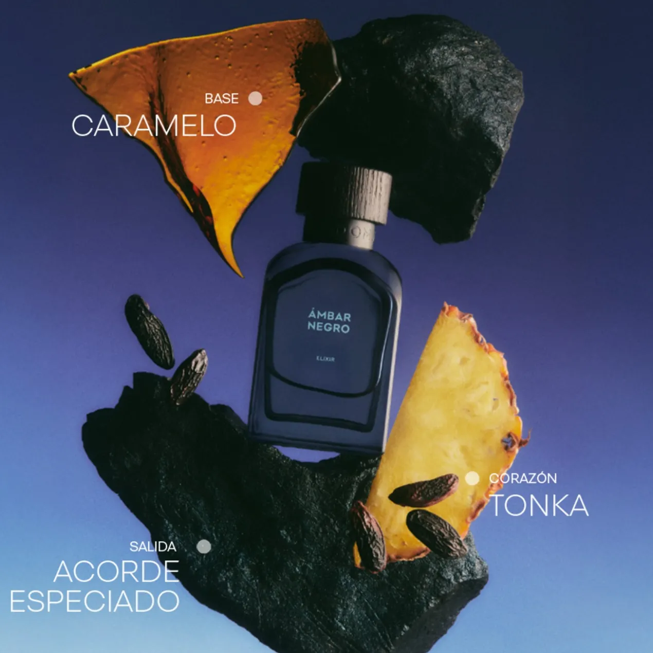 Ambre Noir Elixir Parfum