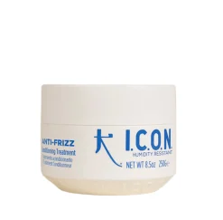 Anti-Frizz Après-Shampoing Traitement