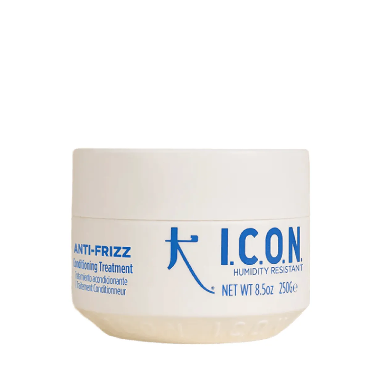 Anti-Frizz Après-Shampoing Traitement