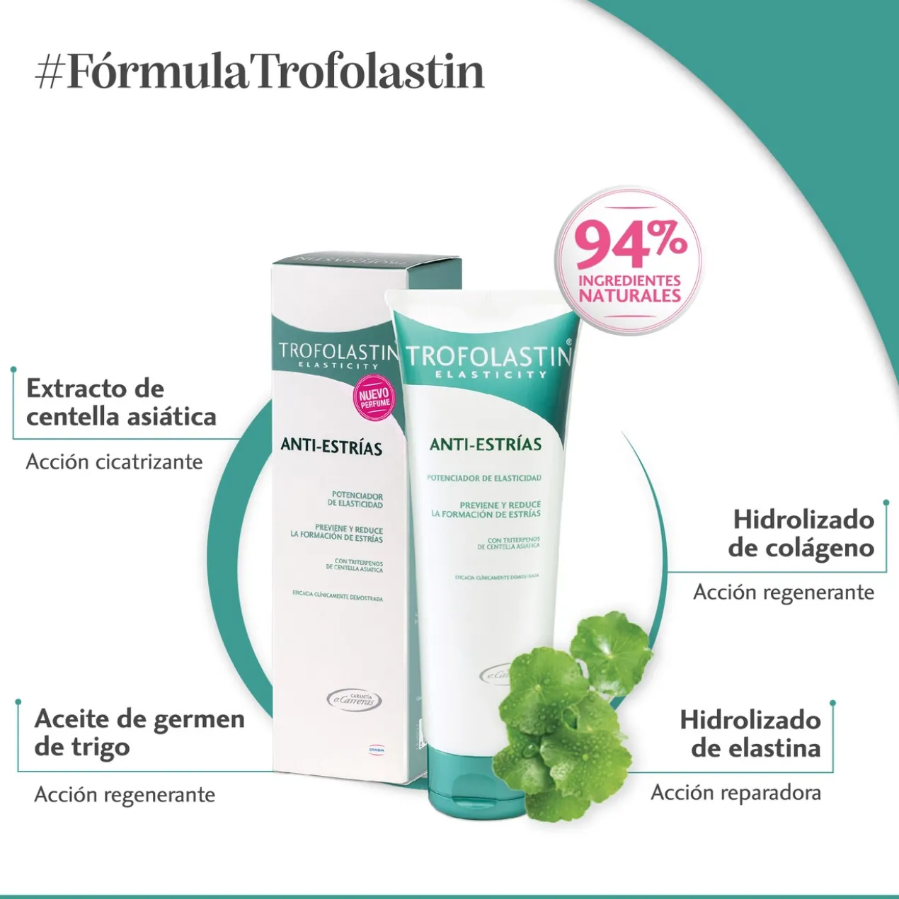 Anti-Vergetures Grossesse