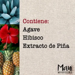 Après-shampoing anti-casse à l'Agave
