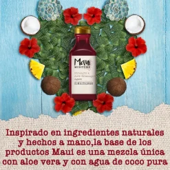 Après-shampoing anti-casse à l'Agave
