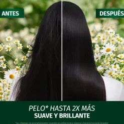Après-shampoing Brillant et Revitalisant à la Camomille
