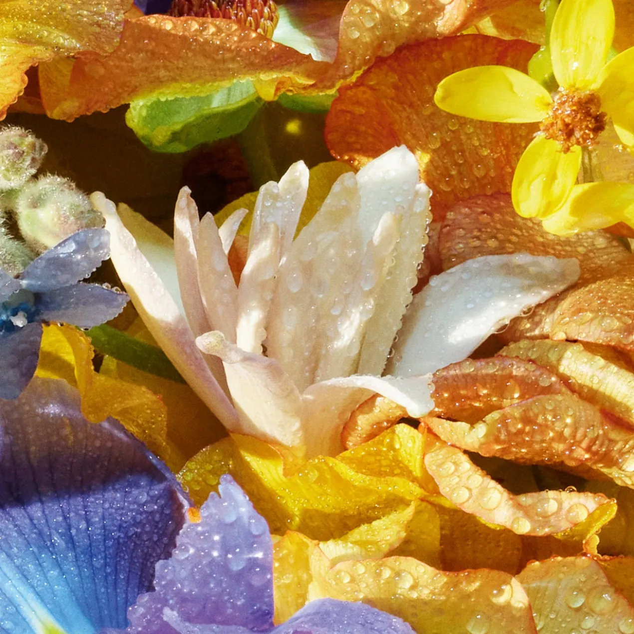 Aqua Allegoria Florabloom Eau de Toilette