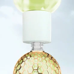 Aqua Allegoria Forte Nerolia Vetiver Eau de Parfum
