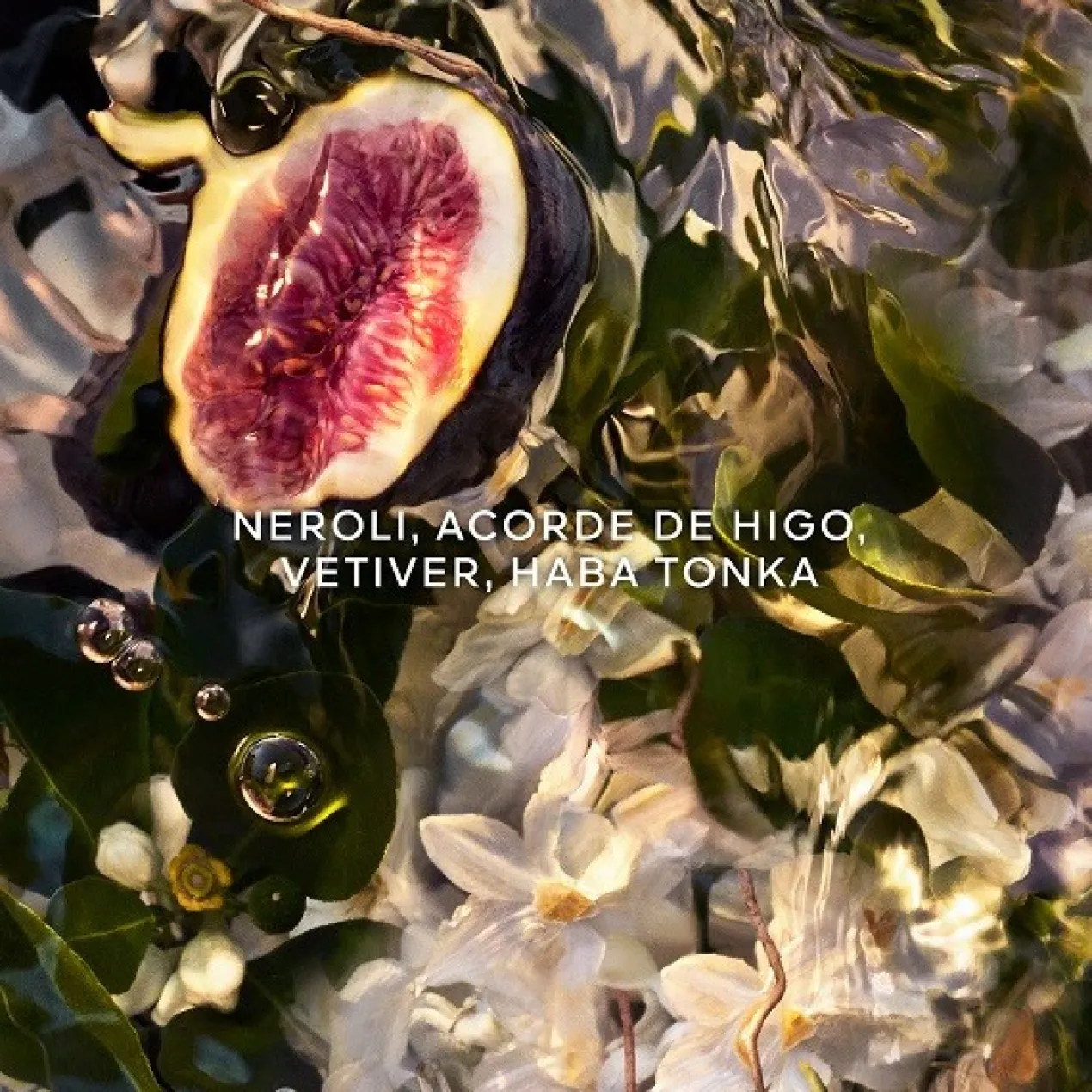 Aqua Allegoria Forte Nerolia Vetiver Eau de Parfum