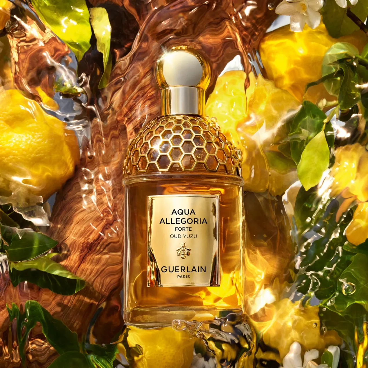 Aqua Allegoria Forte Oud Yuzu Eau de Parfum
