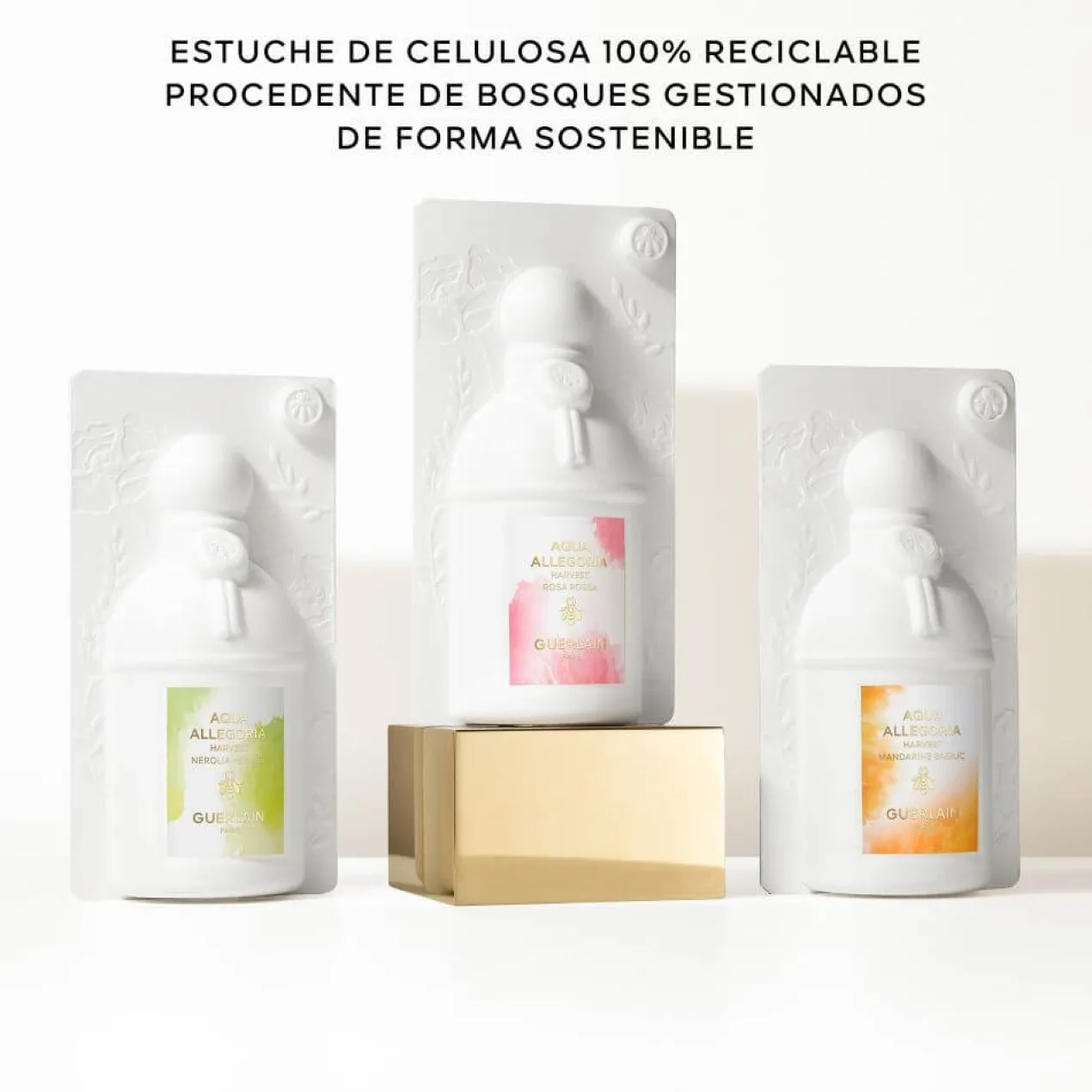 Aqua Allegoria Harvest Rosa Rossa