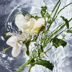Aqua Allegoria Herba Fresca Eau de Toilette