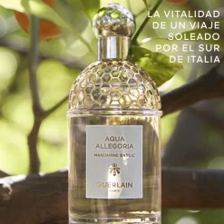 Aqua Allegoria Mandarine Basilic Eau de Toilette