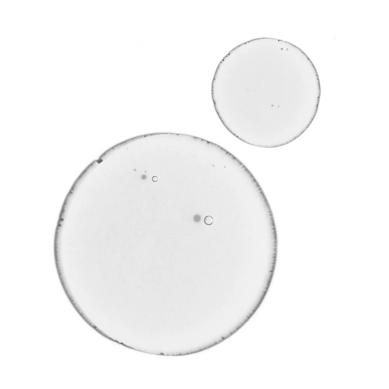 Balancing & Clarifying Serum