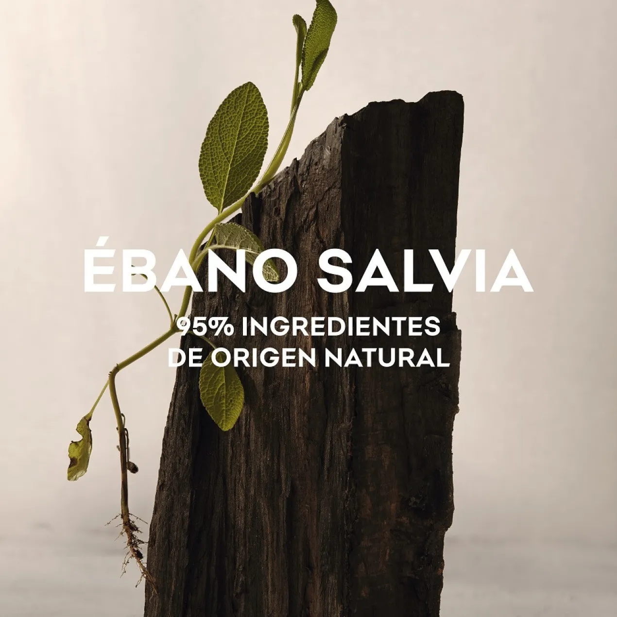 Ébano Salvia Eau de Parfum