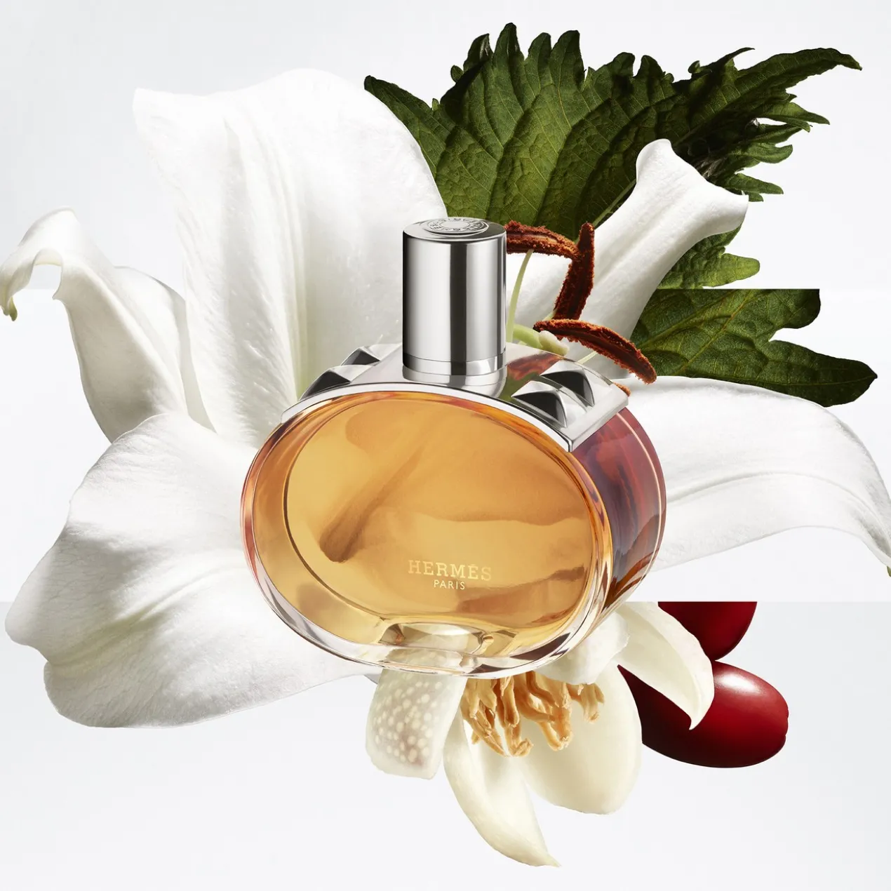 Barénia Pleine Fleur Eau de Parfum