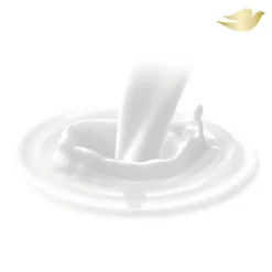 Body Love Lotion pour le Corps Soin Réparateur