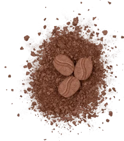 Bronzant To Bean Or Not To Bean