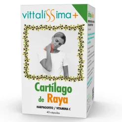 Cartilage de Raie
