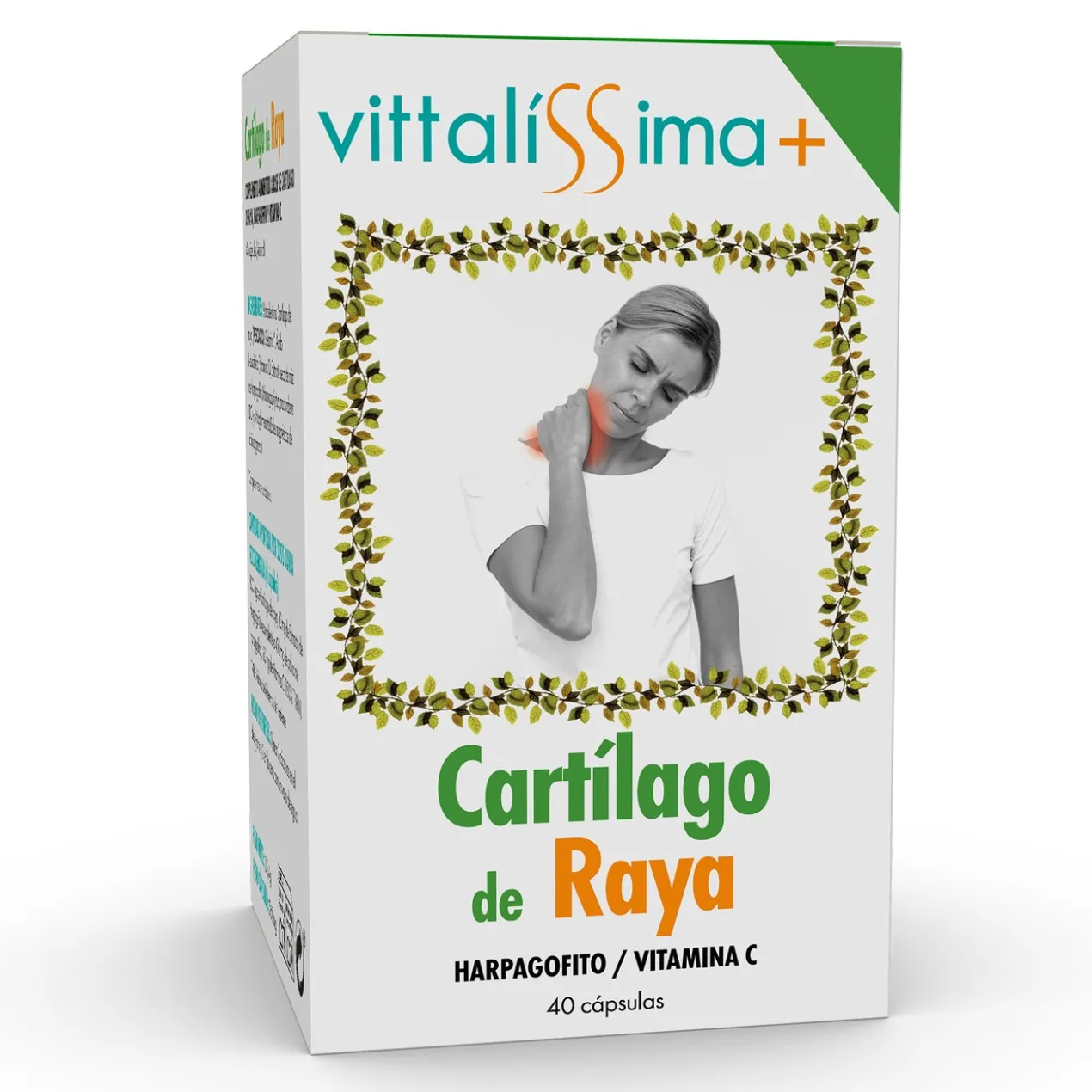 Cartilage de Raie