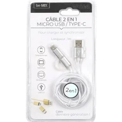 Câble USB 2 en 1 Micro USB