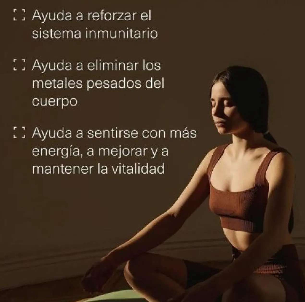 Comprimés Spiruline et Chlorelle