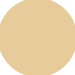 Correcteur de teint CC Skin Perfector