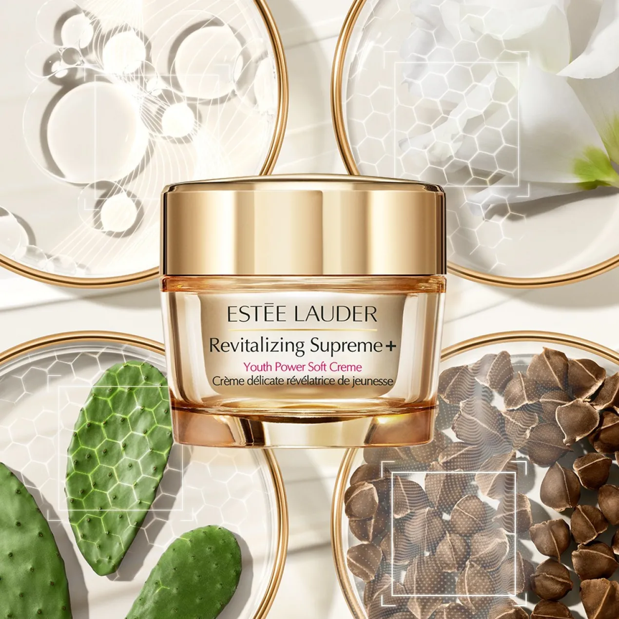 Crème Anti-âge Révitalisante Supreme +