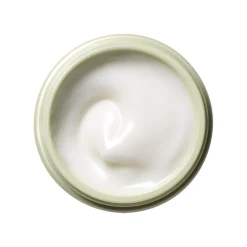 Crème Hydratante Illuminatrice Mega-Bright