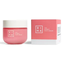 Crème Hydratante pour le Visage en Texture Sorbet The Sorbet Face Cream