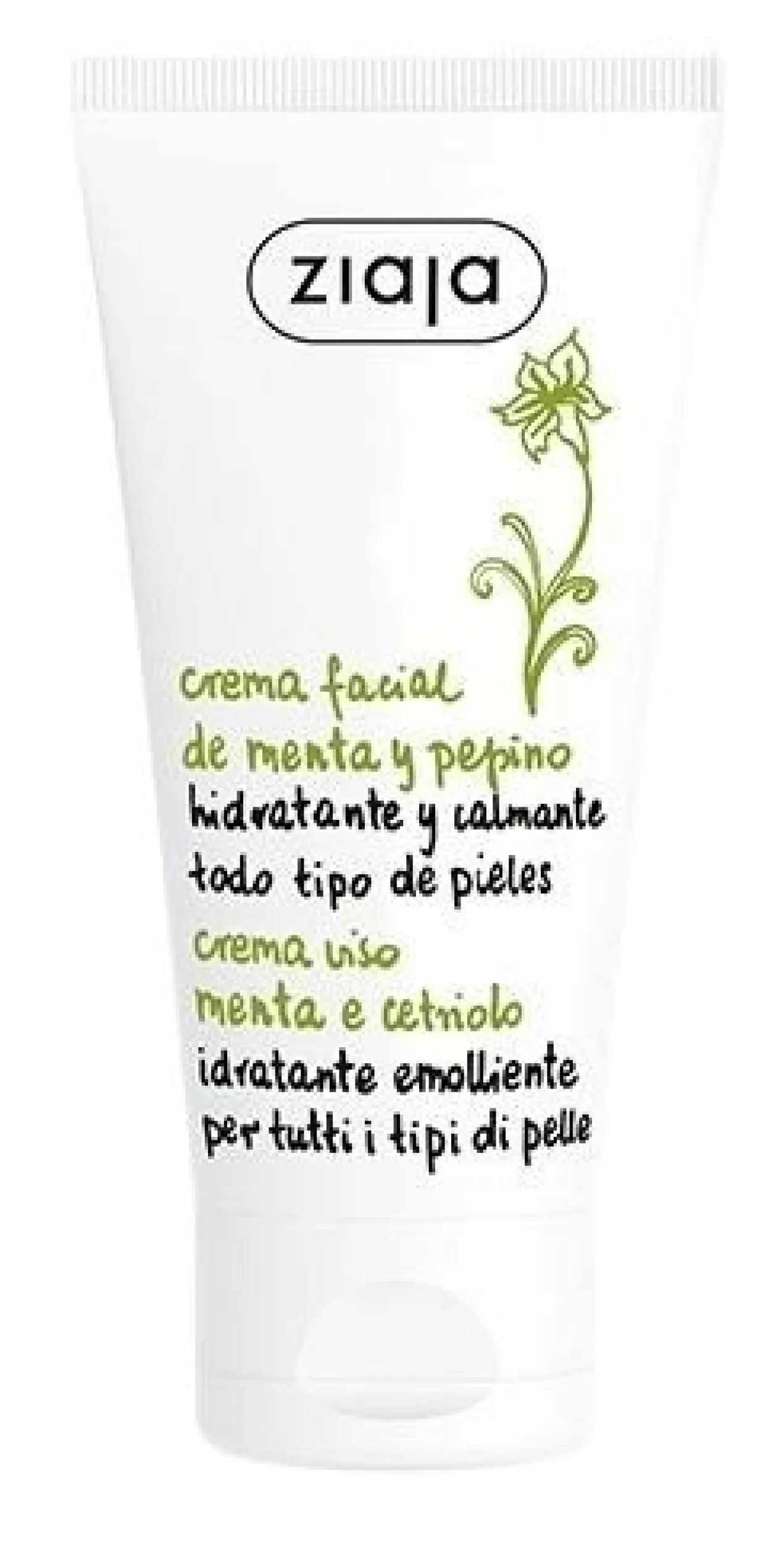 Crème hydratante visage Concombre & Menthe