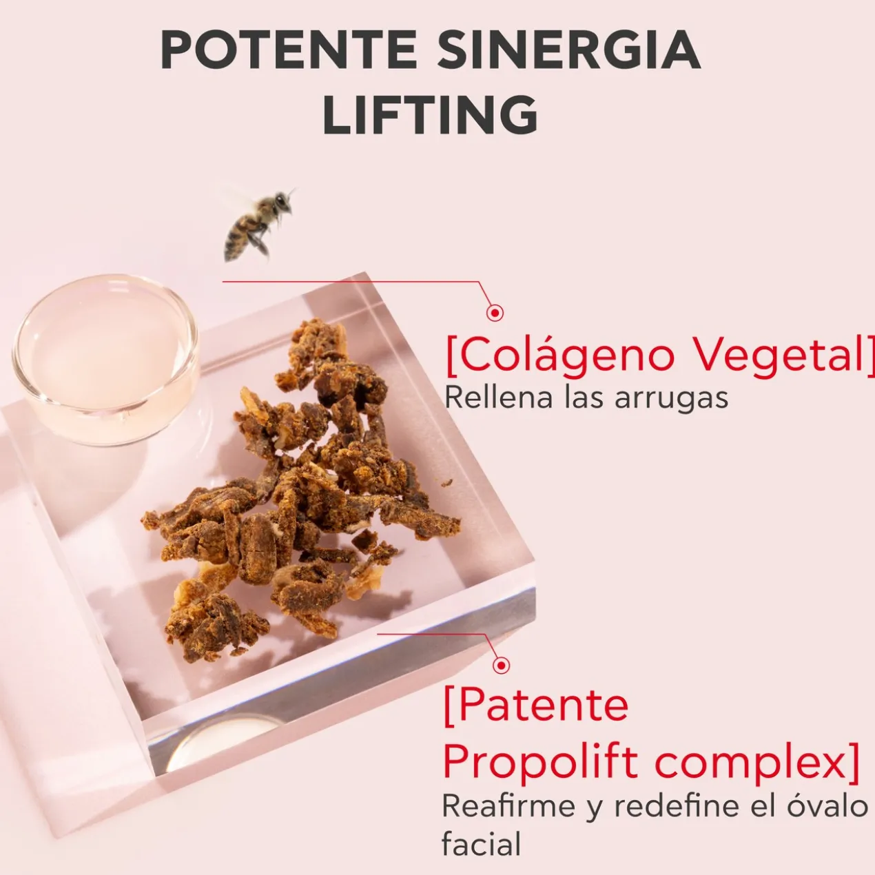 Crème Lift & Fermeté Beevine Elixir