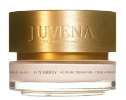 Crème Skin Energy Moisture Cream Rich