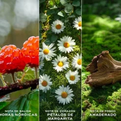Daisy Love Eau de Toilette