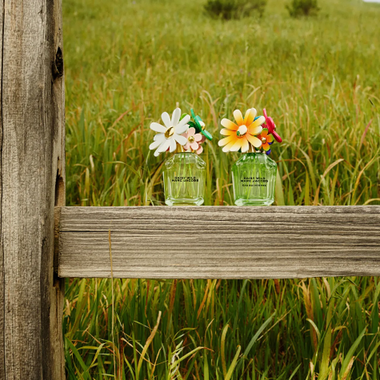 Daisy Wild Eau So Intense Eau de Parfum