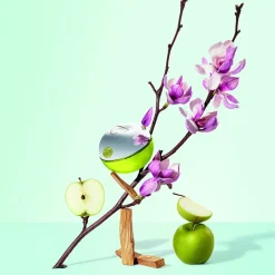 Dkny Be Delicious Eau de Parfum