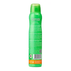 Déodorant Spray Original