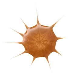 Drop of Sunshine Gouttes Bronzantes