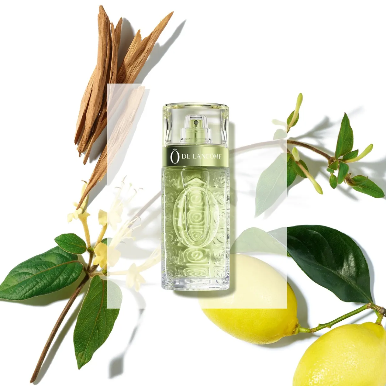 Ô Eau de Toilette