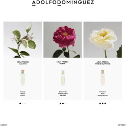 Eau Fraîche de Roses Blanches Eau de Toilette
