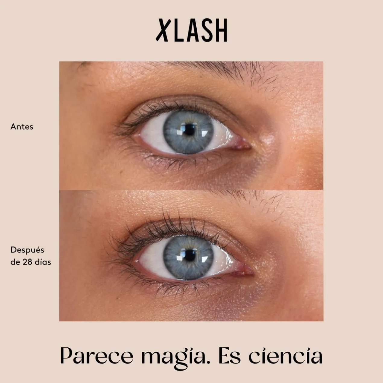 Eyelash Serum