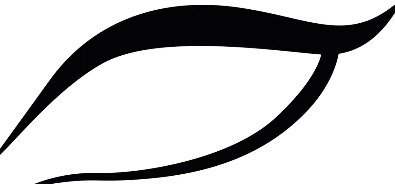 Eyeliner précision noir intense Charbon